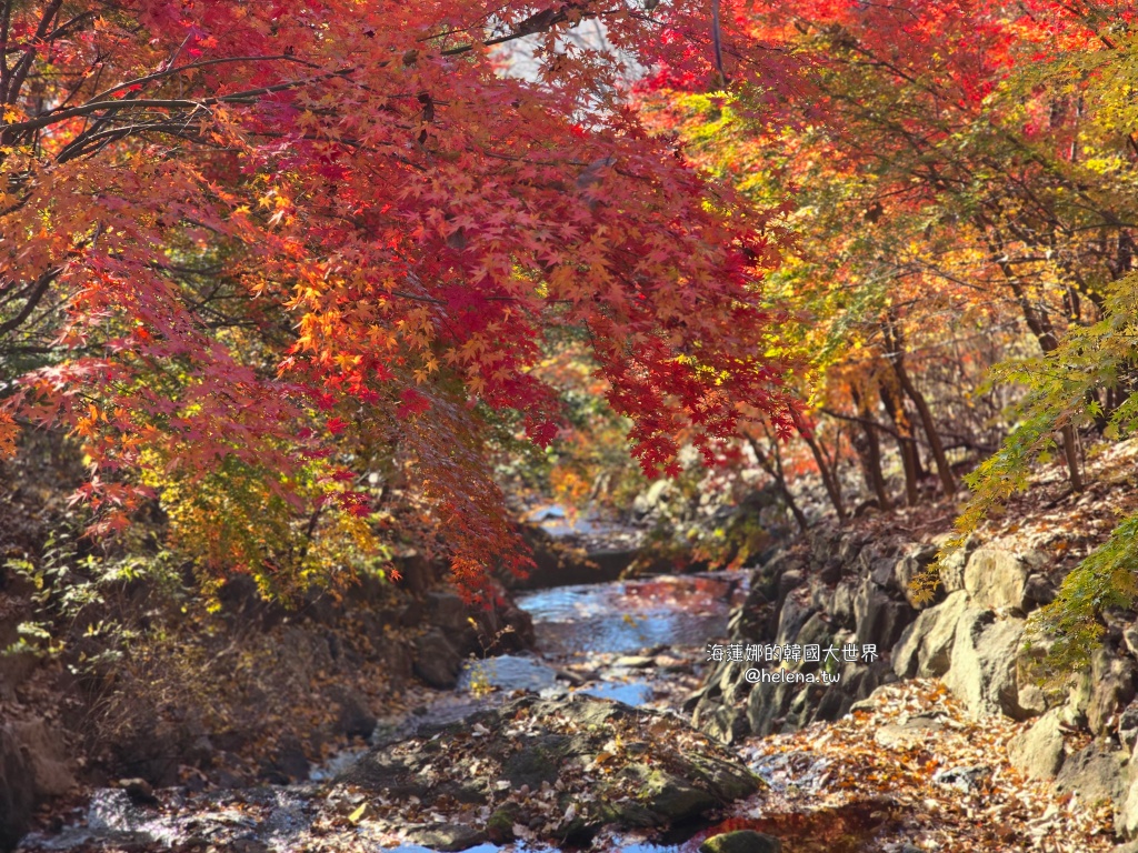 仁川機場,公司旅遊代辦,家族旅遊代辦,金浦機場,韓國一日遊,韓國旅行,韓國旅遊,韓國自由行,首爾一日遊,首爾包車,首爾旅行,首爾旅遊,首爾自由行,首爾遊／宿 @Helena's Blog
