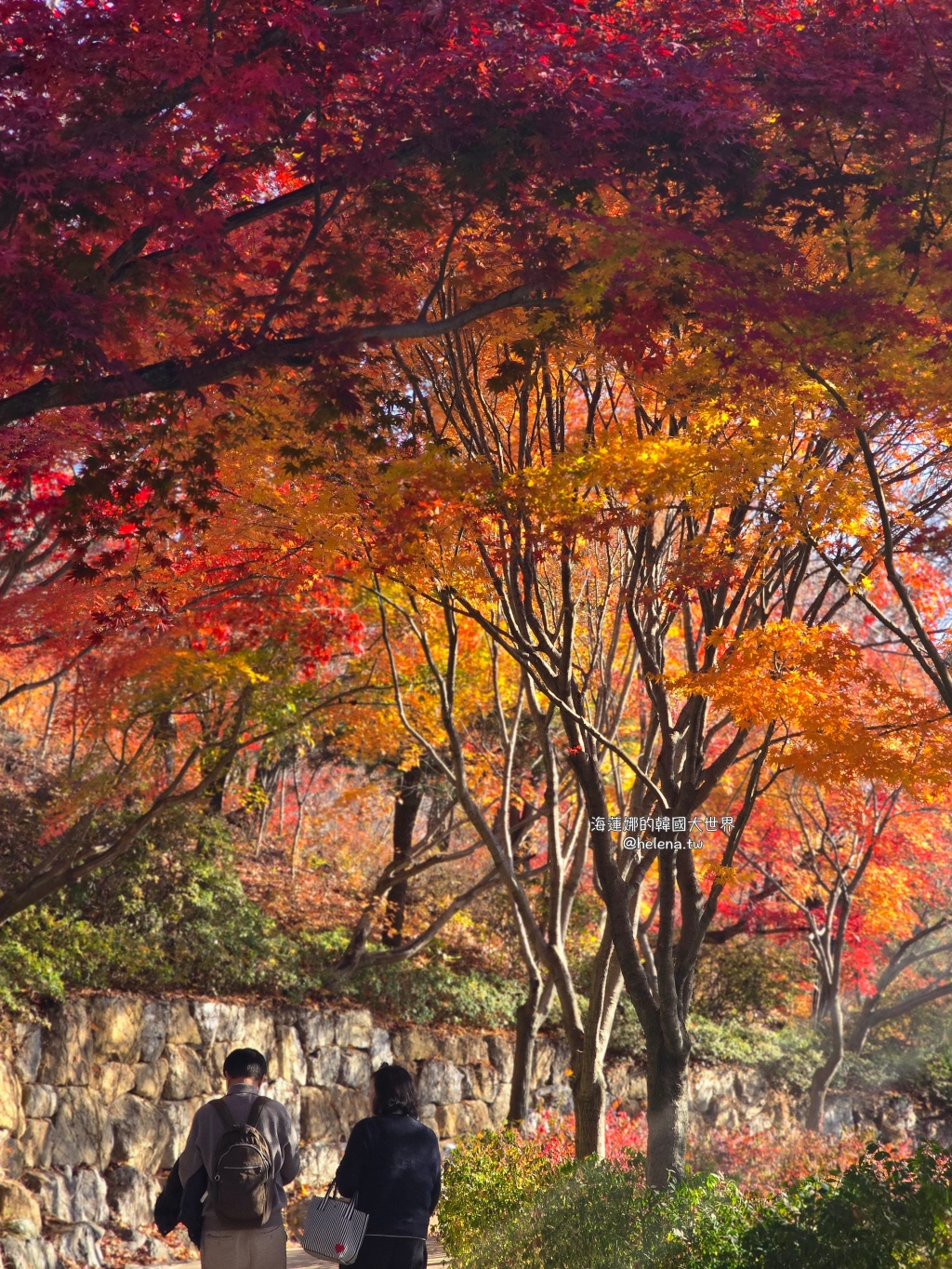仁川機場,公司旅遊代辦,家族旅遊代辦,金浦機場,韓國一日遊,韓國旅行,韓國旅遊,韓國自由行,首爾一日遊,首爾包車,首爾旅行,首爾旅遊,首爾自由行,首爾遊／宿 @Helena's Blog