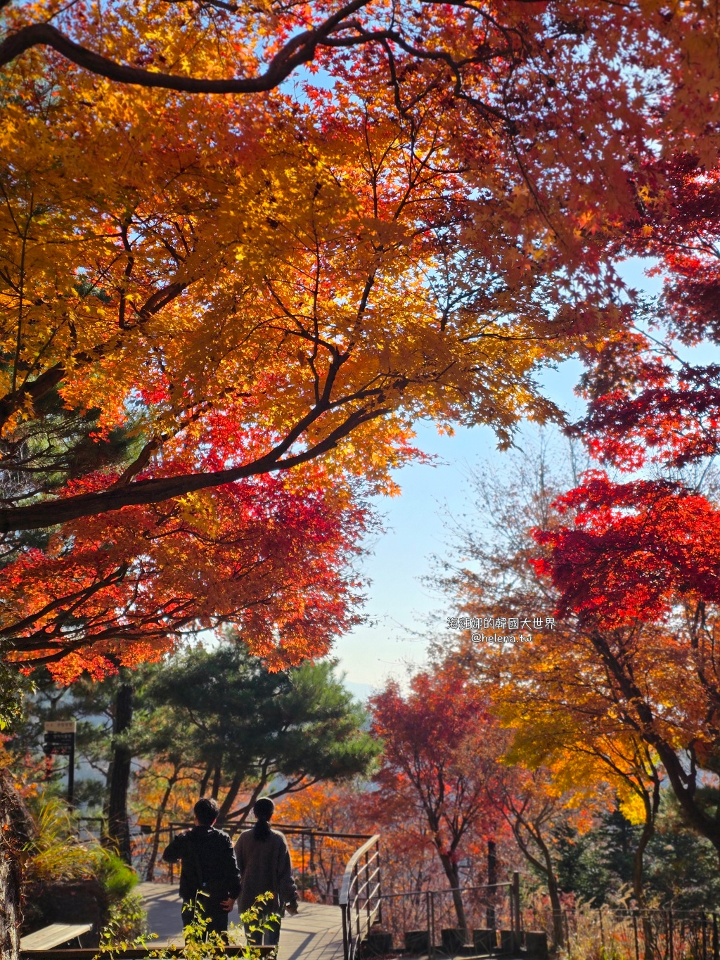 仁川機場,公司旅遊代辦,家族旅遊代辦,金浦機場,韓國一日遊,韓國旅行,韓國旅遊,韓國自由行,首爾一日遊,首爾包車,首爾旅行,首爾旅遊,首爾自由行,首爾遊／宿 @Helena's Blog