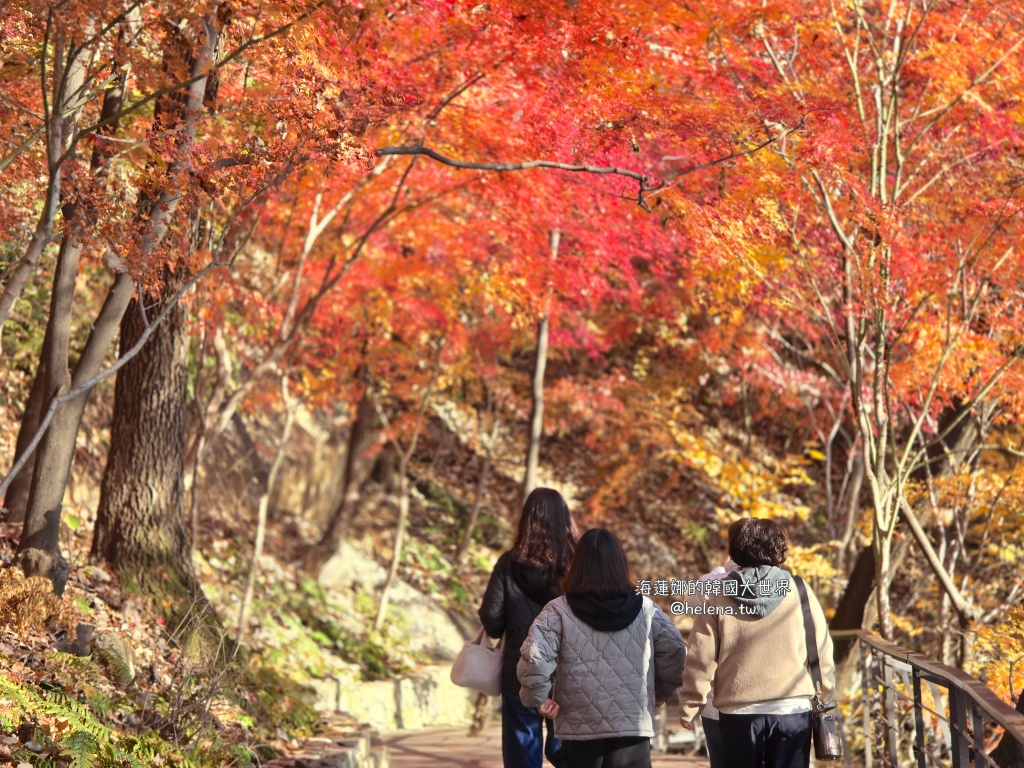 仁川機場,公司旅遊代辦,家族旅遊代辦,金浦機場,韓國一日遊,韓國旅行,韓國旅遊,韓國自由行,首爾一日遊,首爾包車,首爾旅行,首爾旅遊,首爾自由行,首爾遊／宿 @Helena's Blog