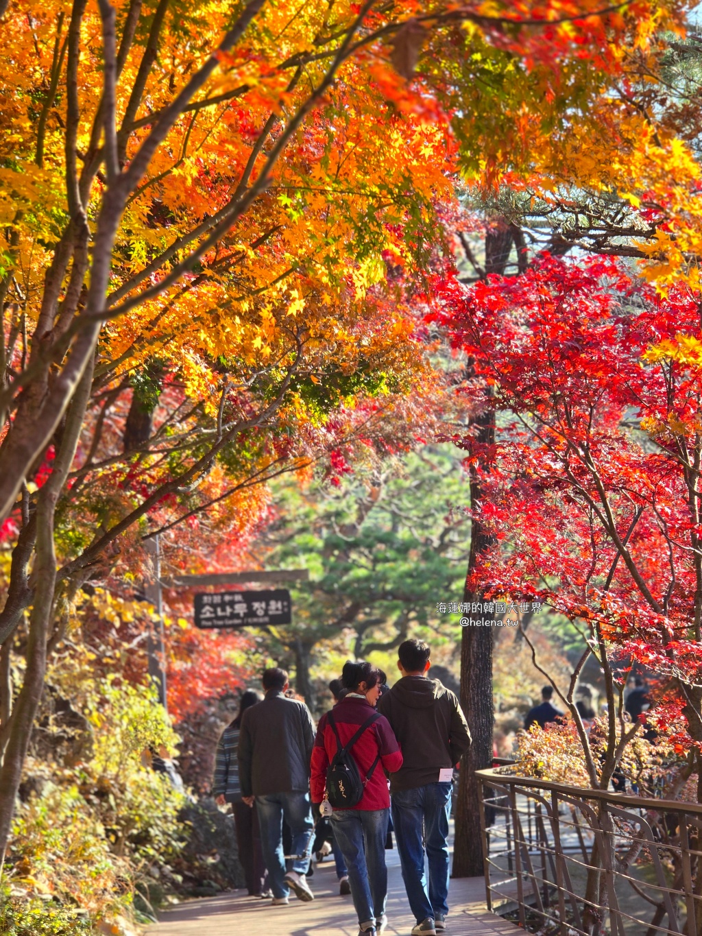 仁川機場,公司旅遊代辦,家族旅遊代辦,金浦機場,韓國一日遊,韓國旅行,韓國旅遊,韓國自由行,首爾一日遊,首爾包車,首爾旅行,首爾旅遊,首爾自由行,首爾遊／宿 @Helena's Blog