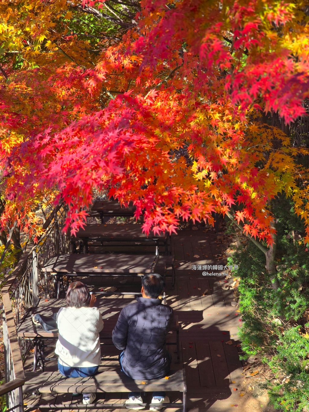 仁川機場,公司旅遊代辦,家族旅遊代辦,金浦機場,韓國一日遊,韓國旅行,韓國旅遊,韓國自由行,首爾一日遊,首爾包車,首爾旅行,首爾旅遊,首爾自由行,首爾遊／宿 @Helena's Blog