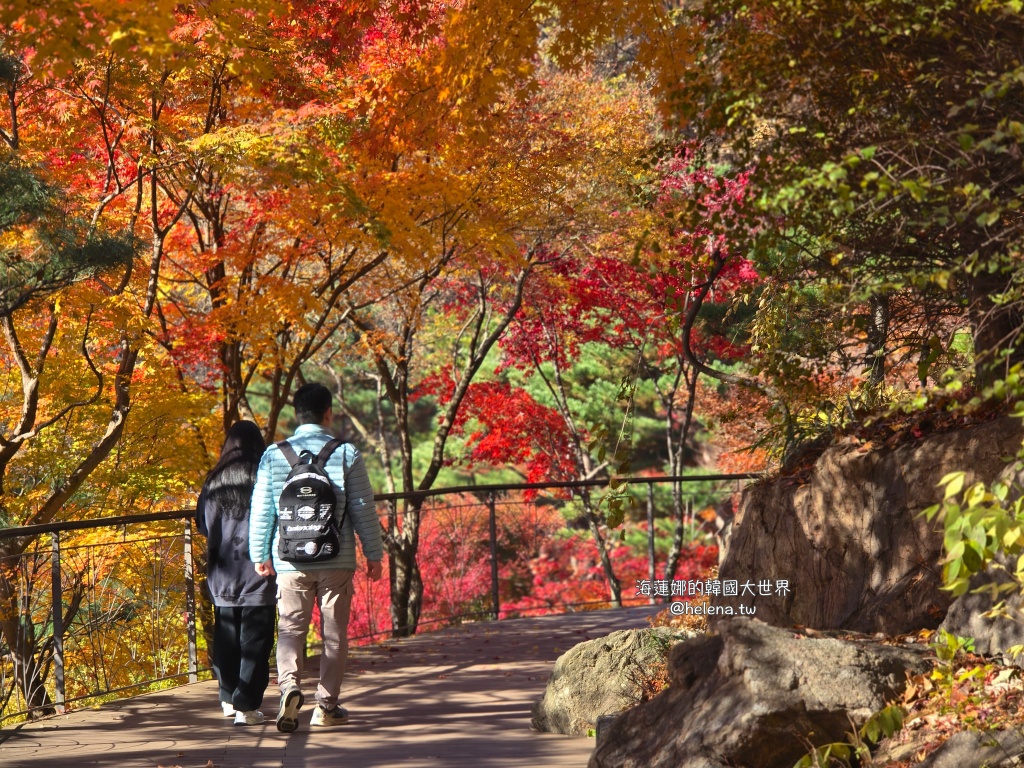 仁川機場,公司旅遊代辦,家族旅遊代辦,金浦機場,韓國一日遊,韓國旅行,韓國旅遊,韓國自由行,首爾一日遊,首爾包車,首爾旅行,首爾旅遊,首爾自由行,首爾遊／宿 @Helena's Blog