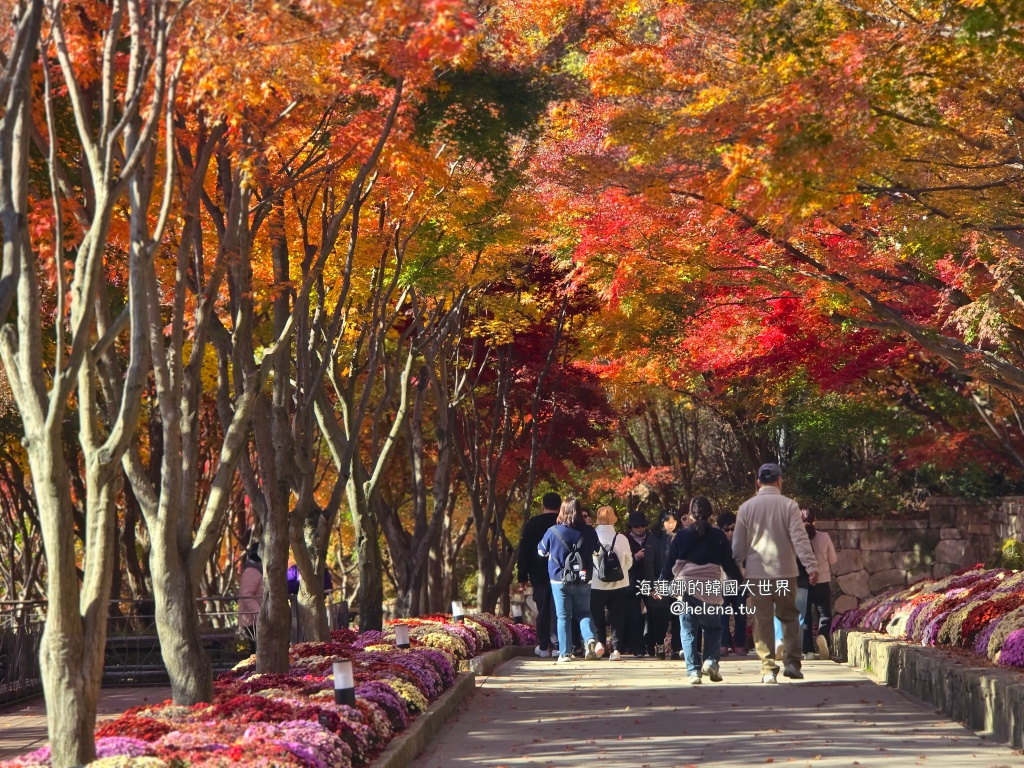 仁川機場,公司旅遊代辦,家族旅遊代辦,金浦機場,韓國一日遊,韓國旅行,韓國旅遊,韓國自由行,首爾一日遊,首爾包車,首爾旅行,首爾旅遊,首爾自由行,首爾遊／宿 @Helena's Blog