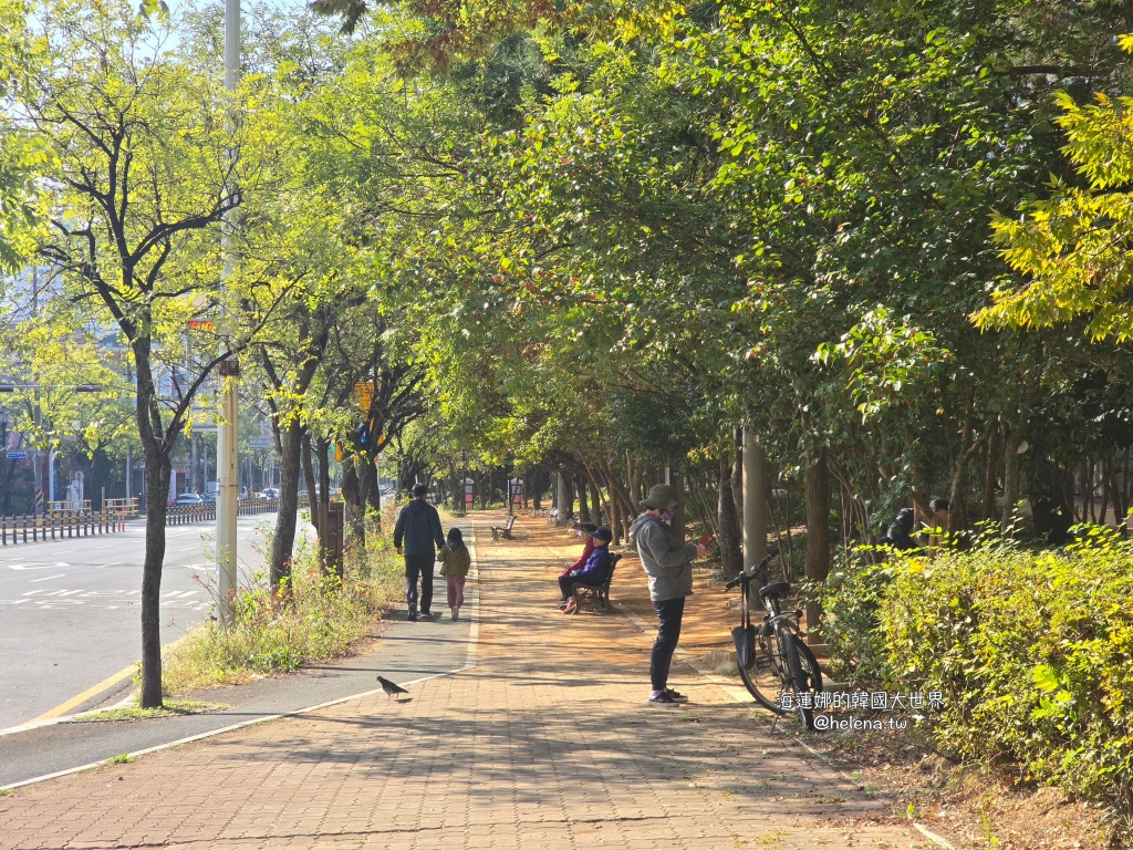 波波草,釜山,釜山旅行,釜山旅遊,釜山自由行,釜山遊／宿,韓國,韓國旅行,韓國旅遊,韓國自由行 @Helena's Blog