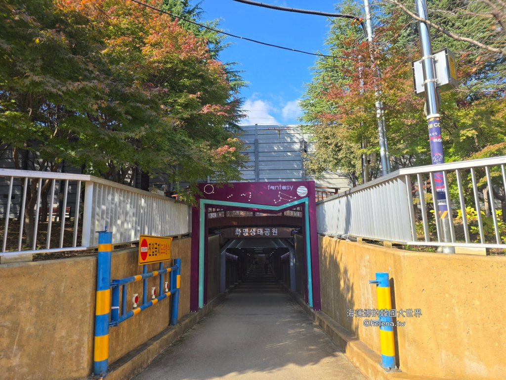 波波草,釜山,釜山旅行,釜山旅遊,釜山自由行,釜山遊／宿,韓國,韓國旅行,韓國旅遊,韓國自由行 @Helena's Blog