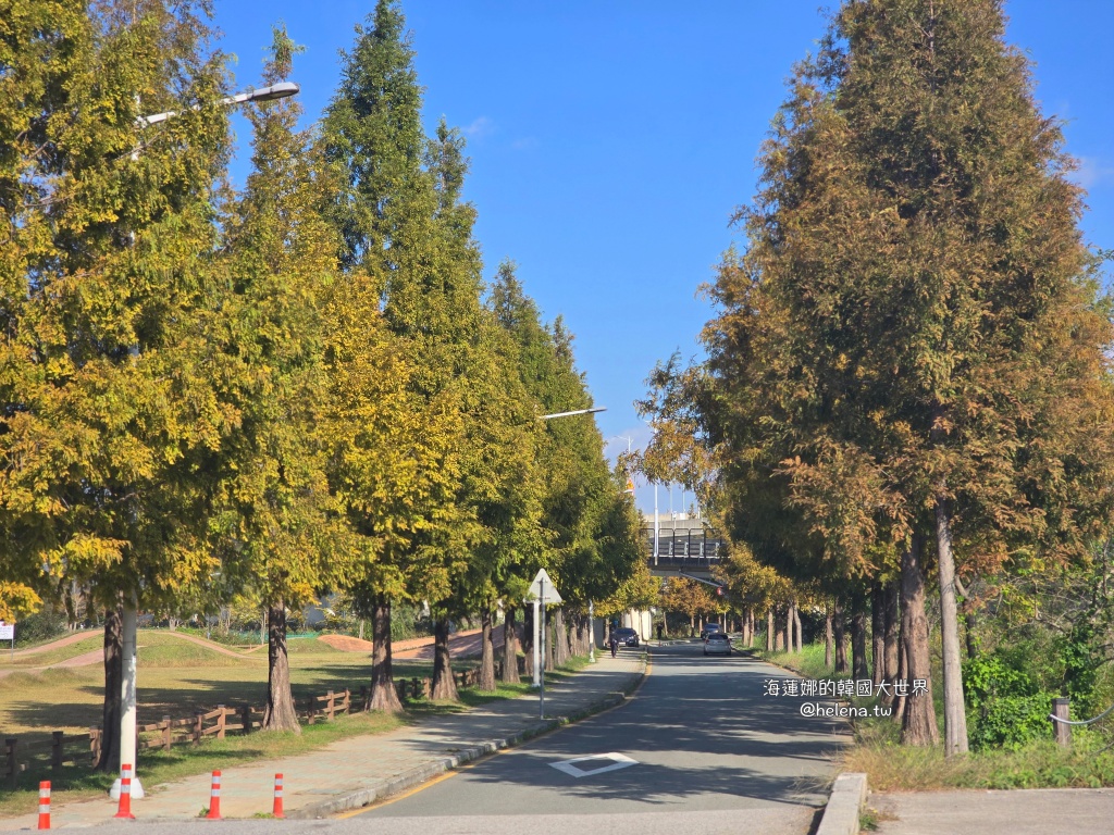 波波草,釜山,釜山旅行,釜山旅遊,釜山自由行,釜山遊／宿,韓國,韓國旅行,韓國旅遊,韓國自由行 @Helena's Blog