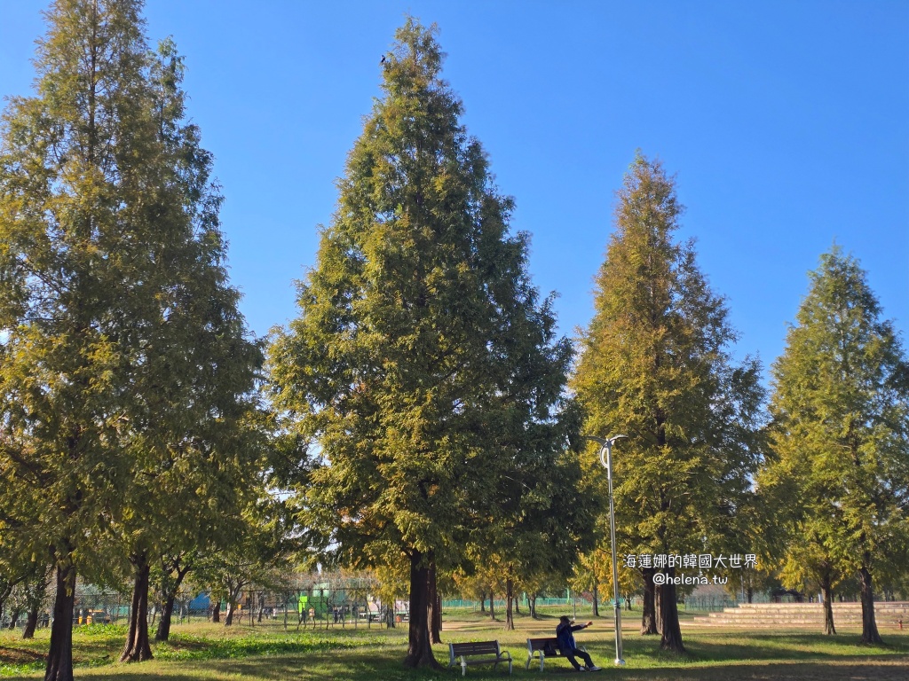 波波草,釜山,釜山旅行,釜山旅遊,釜山自由行,釜山遊／宿,韓國,韓國旅行,韓國旅遊,韓國自由行 @Helena's Blog