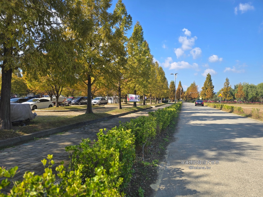 波波草,釜山,釜山旅行,釜山旅遊,釜山自由行,釜山遊／宿,韓國,韓國旅行,韓國旅遊,韓國自由行 @Helena's Blog