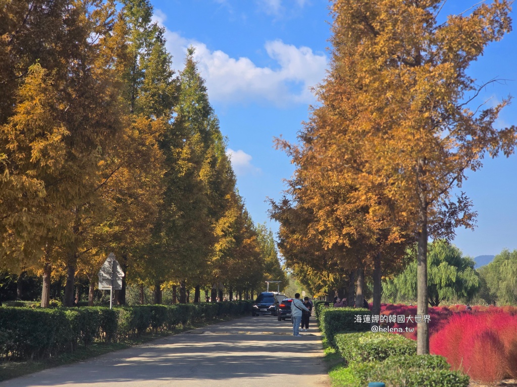 波波草,釜山,釜山旅行,釜山旅遊,釜山自由行,釜山遊／宿,韓國,韓國旅行,韓國旅遊,韓國自由行 @Helena's Blog