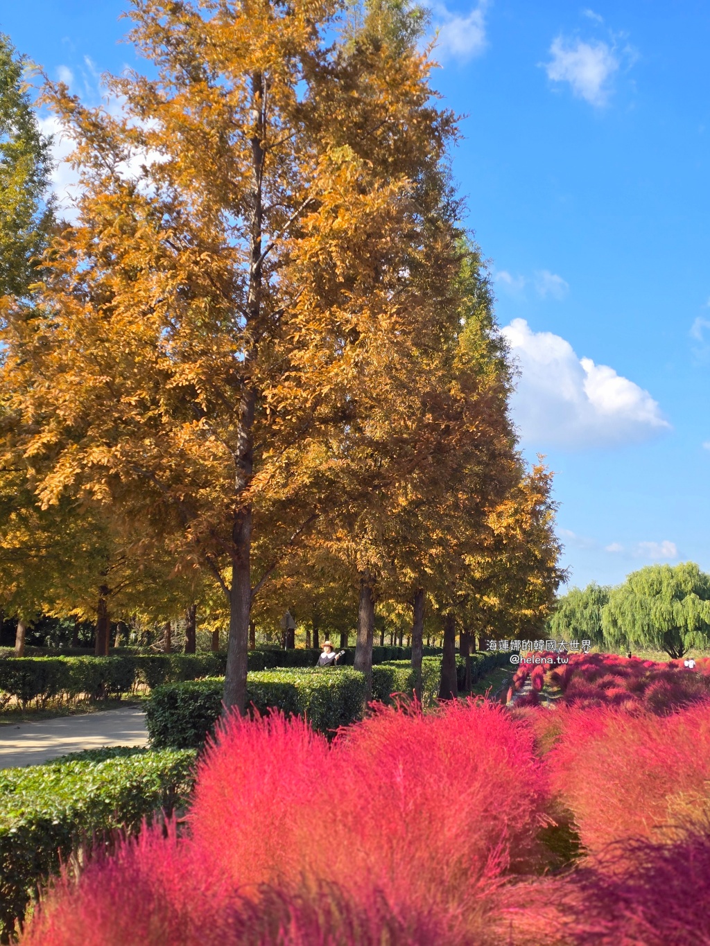 波波草,釜山,釜山旅行,釜山旅遊,釜山自由行,釜山遊／宿,韓國,韓國旅行,韓國旅遊,韓國自由行 @Helena's Blog