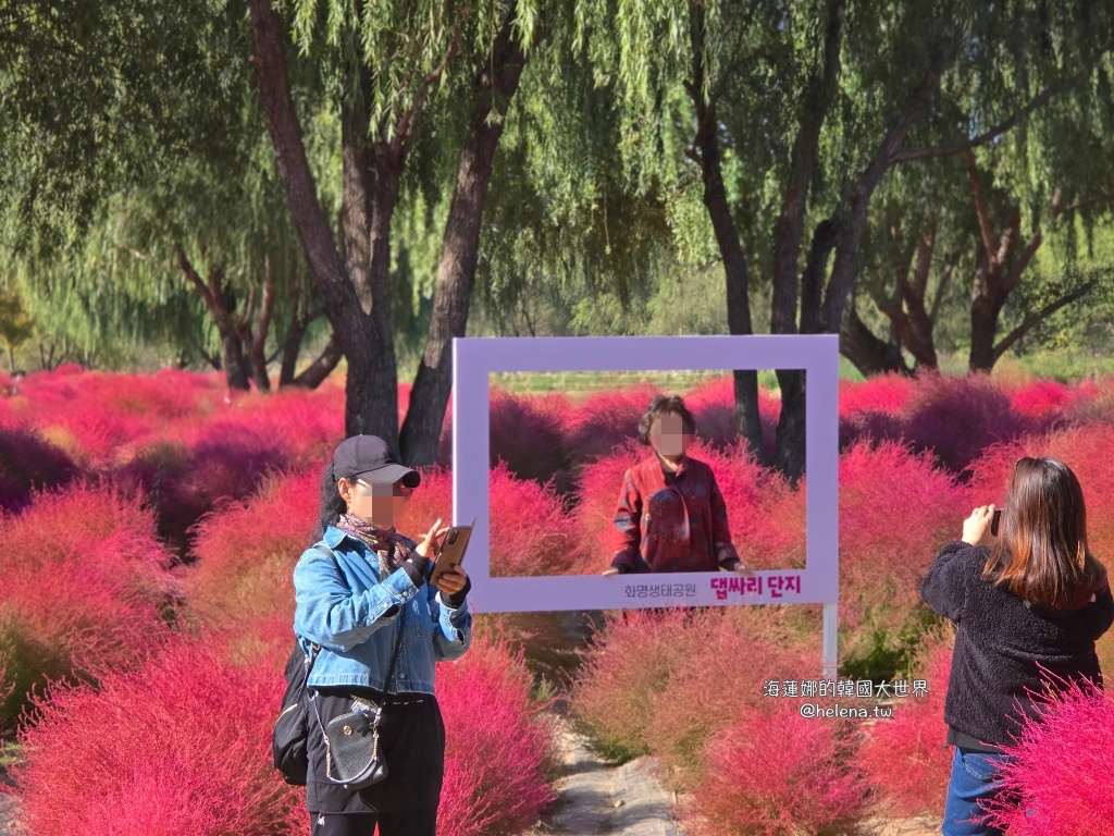 波波草,釜山,釜山旅行,釜山旅遊,釜山自由行,釜山遊／宿,韓國,韓國旅行,韓國旅遊,韓國自由行 @Helena's Blog