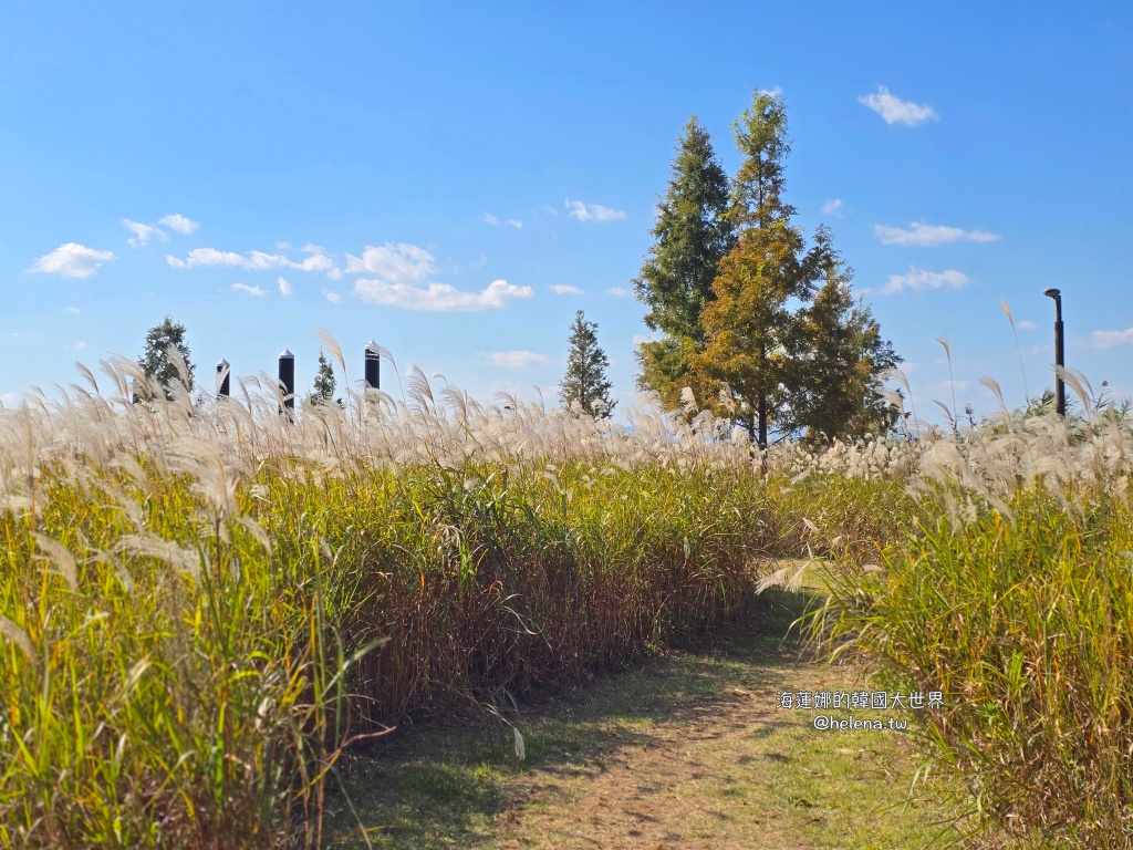 波波草,釜山,釜山旅行,釜山旅遊,釜山自由行,釜山遊／宿,韓國,韓國旅行,韓國旅遊,韓國自由行 @Helena's Blog