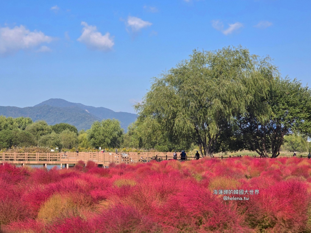 波波草,釜山,釜山旅行,釜山旅遊,釜山自由行,釜山遊／宿,韓國,韓國旅行,韓國旅遊,韓國自由行 @Helena's Blog