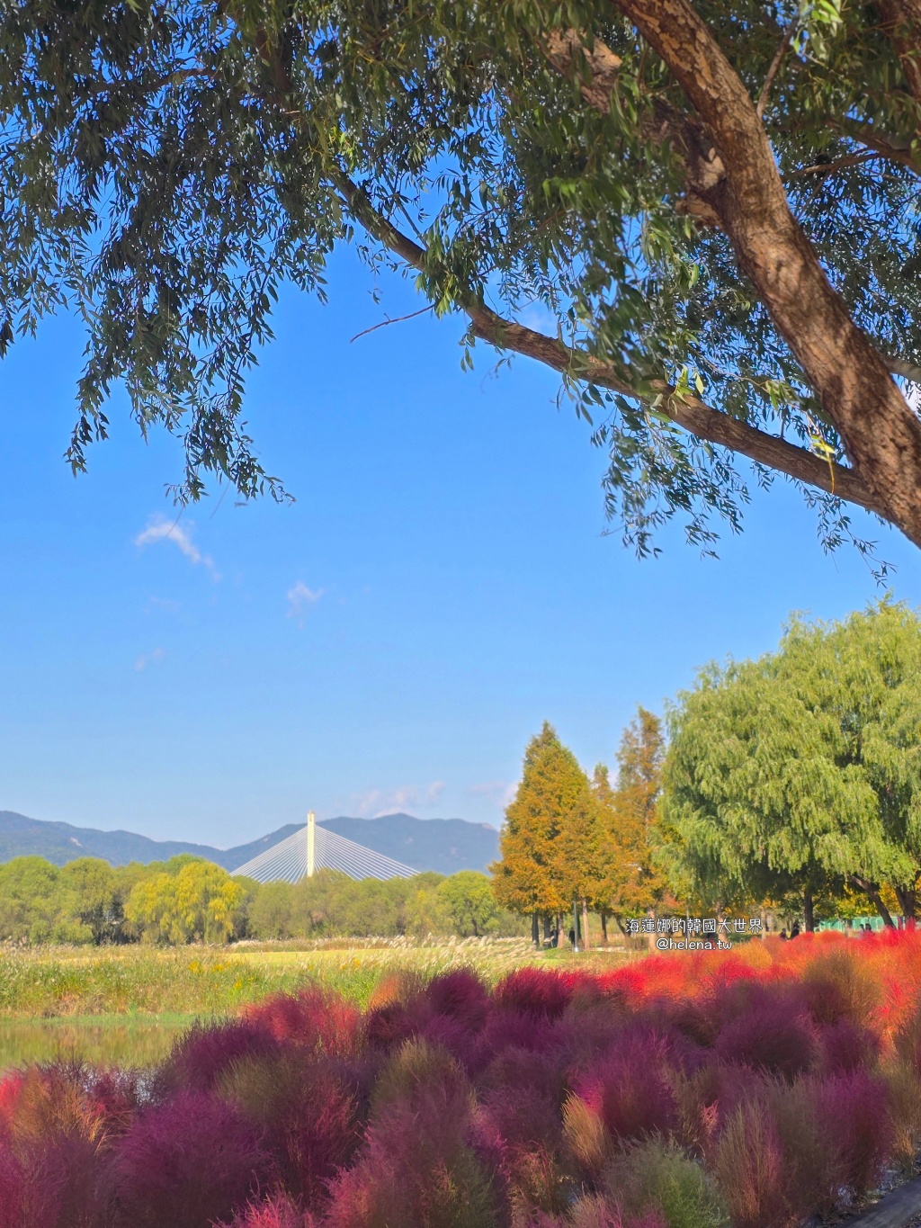 波波草,釜山,釜山旅行,釜山旅遊,釜山自由行,釜山遊／宿,韓國,韓國旅行,韓國旅遊,韓國自由行 @Helena's Blog