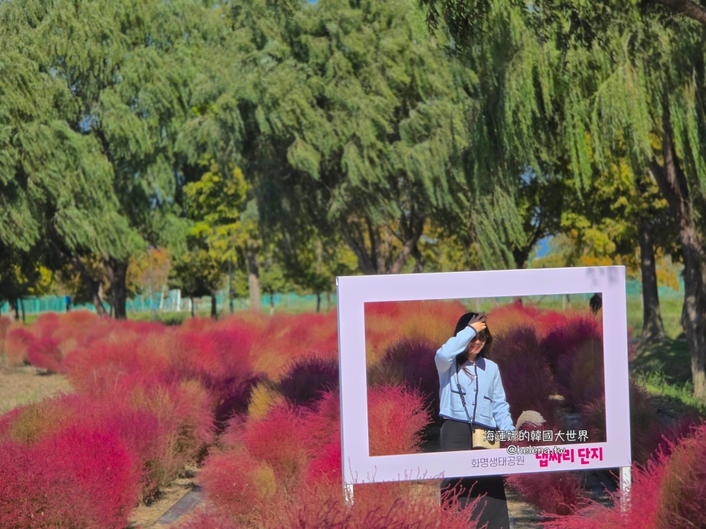 波波草,釜山,釜山旅行,釜山旅遊,釜山自由行,釜山遊／宿,韓國,韓國旅行,韓國旅遊,韓國自由行 @Helena's Blog