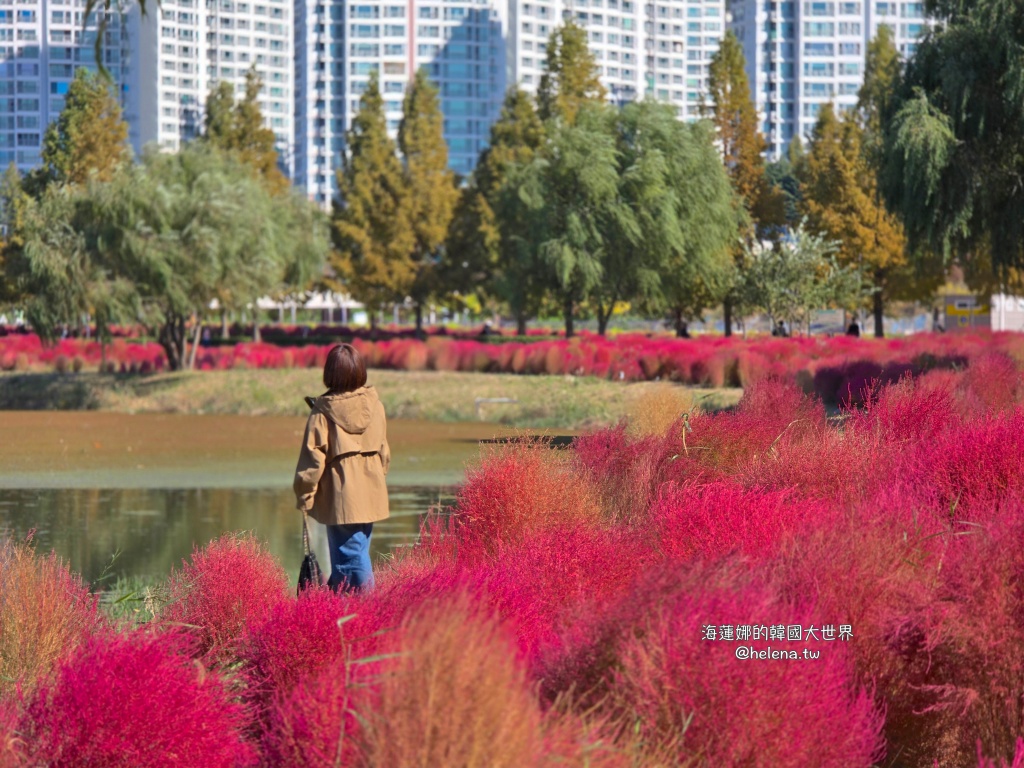 波波草,釜山,釜山旅行,釜山旅遊,釜山自由行,釜山遊／宿,韓國,韓國旅行,韓國旅遊,韓國自由行 @Helena's Blog
