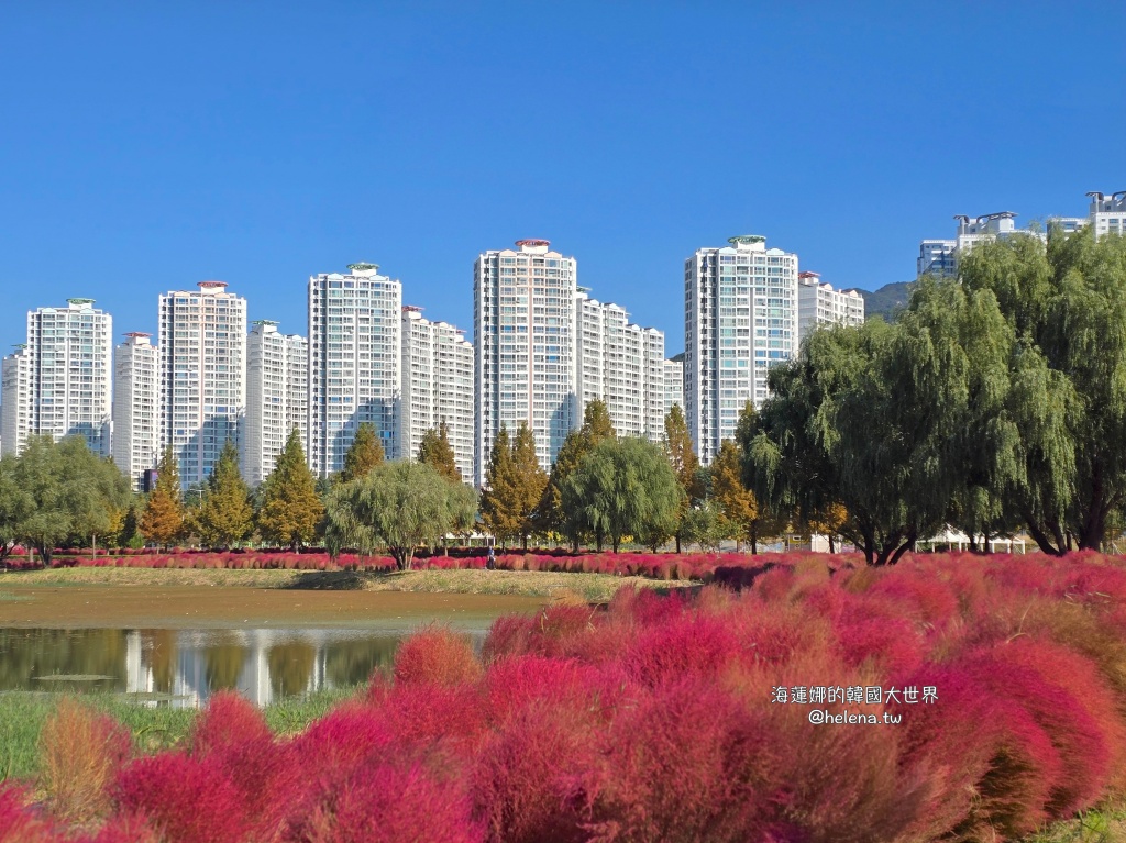 波波草,釜山,釜山旅行,釜山旅遊,釜山自由行,釜山遊／宿,韓國,韓國旅行,韓國旅遊,韓國自由行 @Helena's Blog