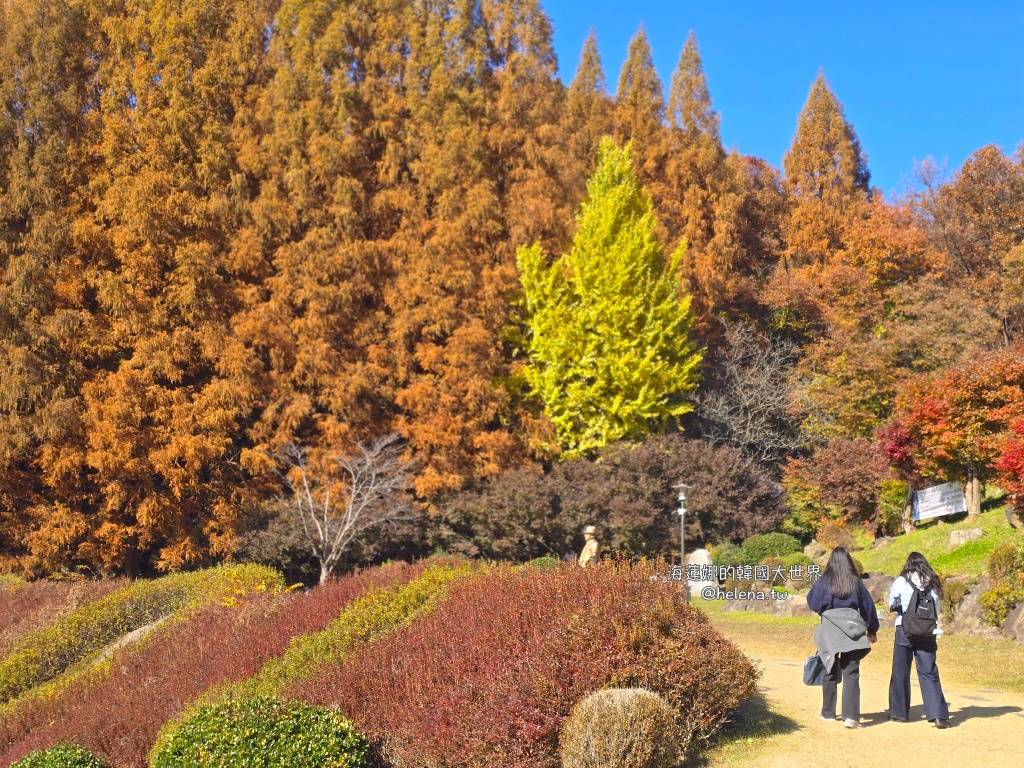 仁川機場,公司旅遊代辦,家族旅遊代辦,金浦機場,韓國一日遊,韓國旅行,韓國旅遊,韓國自由行,首爾一日遊,首爾包車,首爾旅行,首爾旅遊,首爾自由行,首爾遊／宿 @Helena's Blog