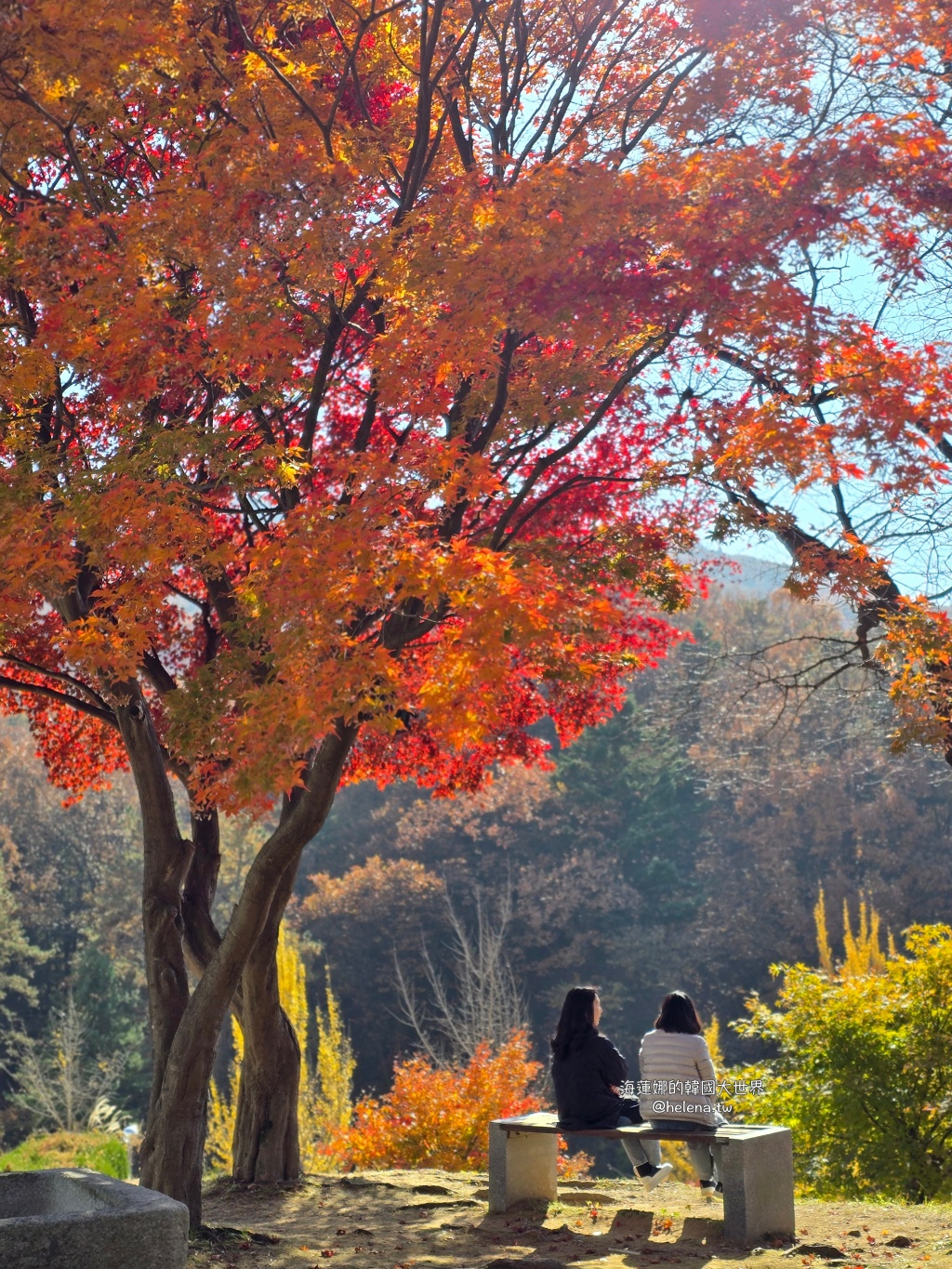 仁川機場,公司旅遊代辦,家族旅遊代辦,金浦機場,韓國一日遊,韓國旅行,韓國旅遊,韓國自由行,首爾一日遊,首爾包車,首爾旅行,首爾旅遊,首爾自由行,首爾遊／宿 @Helena's Blog