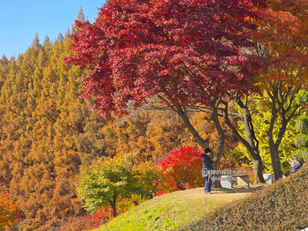 仁川機場,公司旅遊代辦,家族旅遊代辦,金浦機場,韓國一日遊,韓國旅行,韓國旅遊,韓國自由行,首爾一日遊,首爾包車,首爾旅行,首爾旅遊,首爾自由行,首爾遊／宿 @Helena's Blog