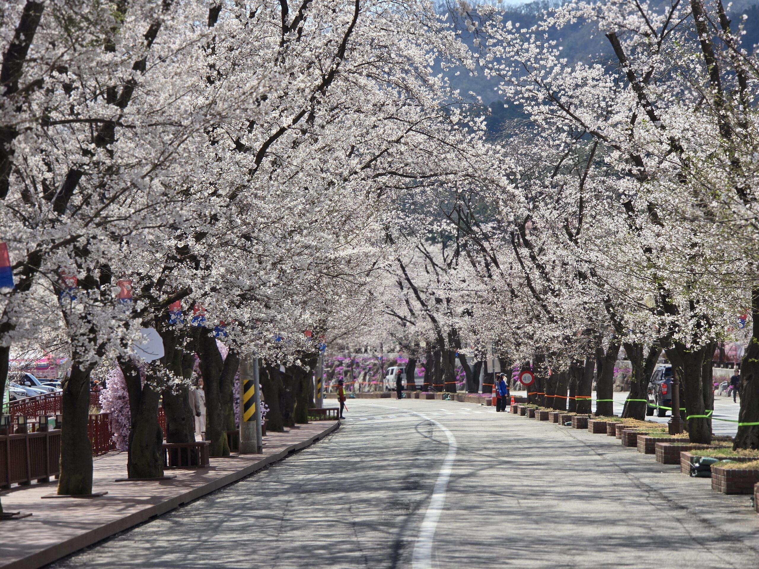 仁川機場,公司旅遊代辦,家族旅遊代辦,金浦機場,韓國一日遊,韓國旅行,韓國旅遊,韓國自由行,首爾一日遊,首爾包車,首爾旅行,首爾旅遊,首爾自由行,首爾遊／宿 @Helena's Blog