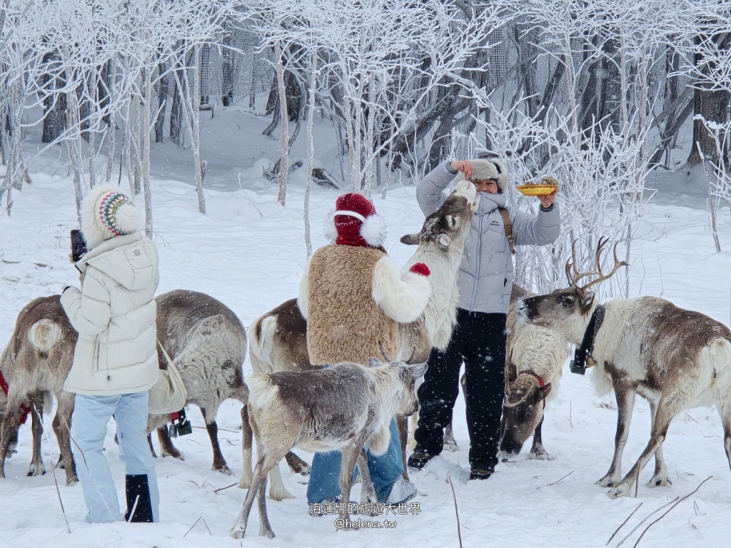 中國旅行,中國旅遊,中國東北旅遊,中朝俄邊境,中朝邊境,吉林旅行,吉林旅遊,延吉旅行,延吉旅遊,長白山,雪嶺,魔界 @Helena's Blog