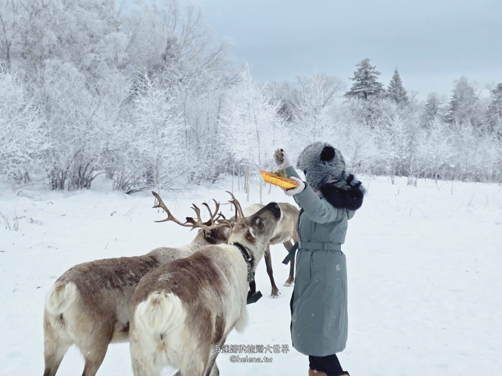 中國旅行,中國旅遊,中國東北旅遊,中朝俄邊境,中朝邊境,吉林旅行,吉林旅遊,延吉旅行,延吉旅遊,長白山,雪嶺,魔界 @Helena's Blog