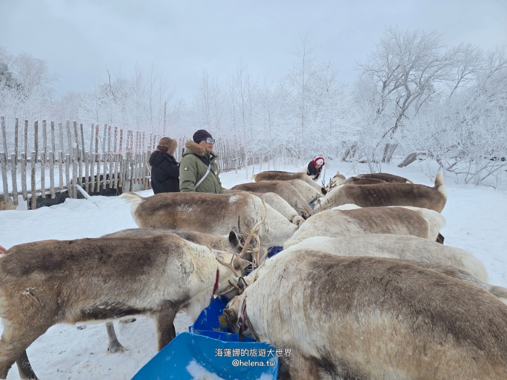 中國旅行,中國旅遊,中國東北旅遊,中朝俄邊境,中朝邊境,吉林旅行,吉林旅遊,延吉旅行,延吉旅遊,長白山,雪嶺,魔界 @Helena's Blog