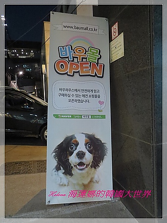 合井站,地鐵,景點,狗咖啡,韓國,首爾 @Helena's Blog