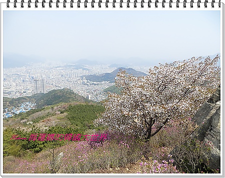 夜景,廣安大橋,景點,櫻花,荒嶺山,釜山,韓國 @Helena's Blog