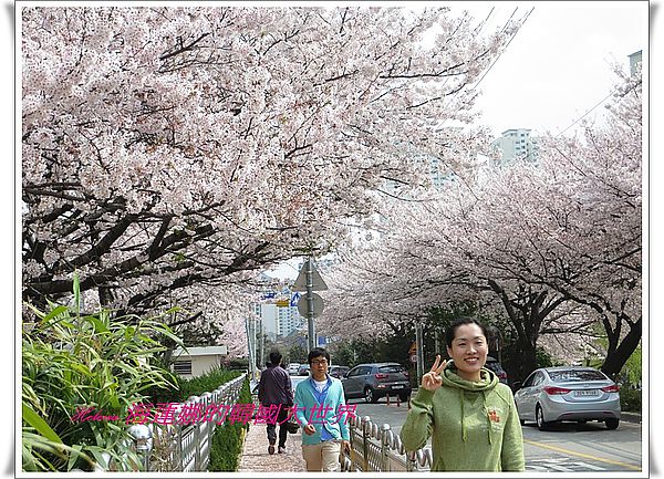 地鐵,景點,櫻花,溫泉川,釜山,韓國 @Helena's Blog