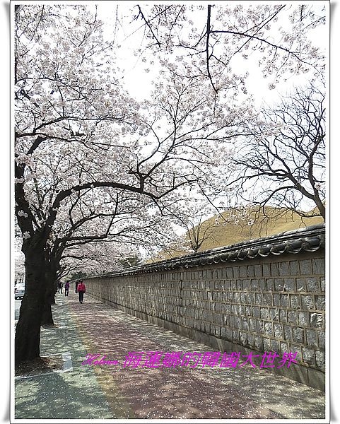 大陵院,慶州,石牆路,韓國 @Helena's Blog