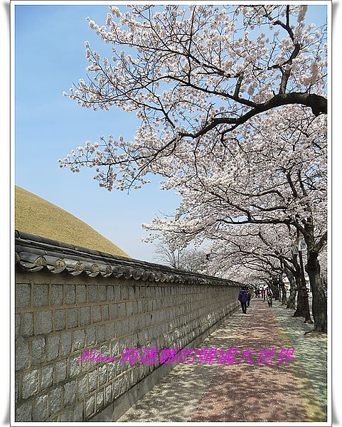 大陵院,慶州,石牆路,韓國 @Helena's Blog