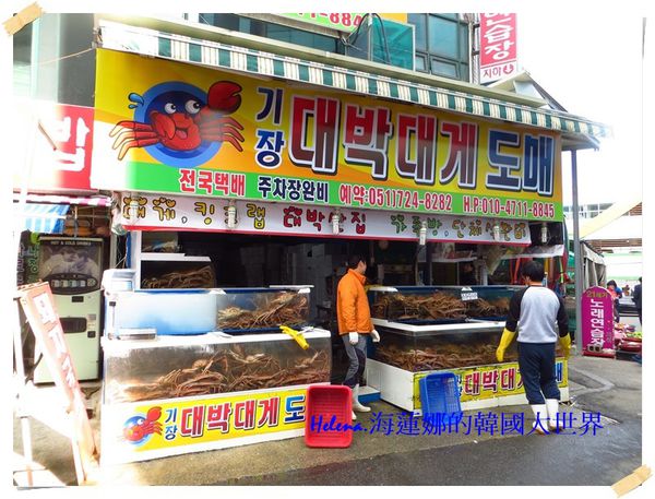 五六島,大蟹,天空步道,景點,機張,螃蟹,釜山,韓國,鱈場蟹 @Helena's Blog
