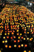 慶典,燃燈,綜合,韓國,首爾 @Helena's Blog