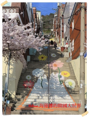 景點,櫻花,釜山,韓國 @Helena's Blog