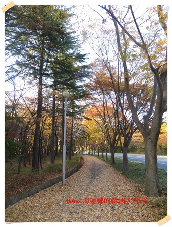 慶州,普門湖,楓葉,落葉,銀杏,韓國 @Helena's Blog