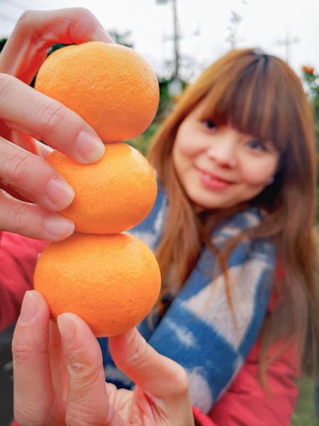 小橘子,景點,泰迪熊,濟州島,濟州島遊／宿,韓國,韓國旅行 @Helena's Blog
